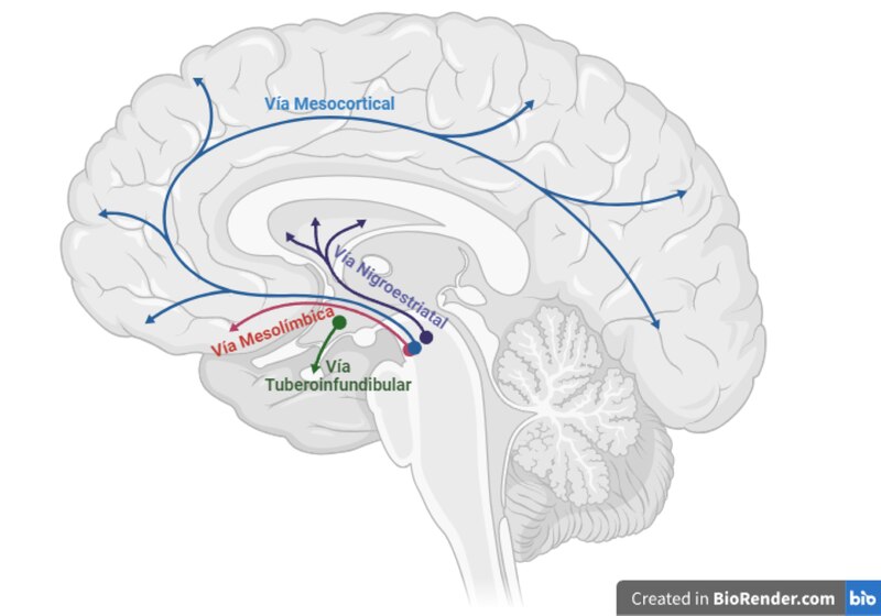 Por ejemplo, la enfermedad de Parkinson cuyos síntomas más característicos son temblor en reposo, lentitud en la ejecución de movimientos