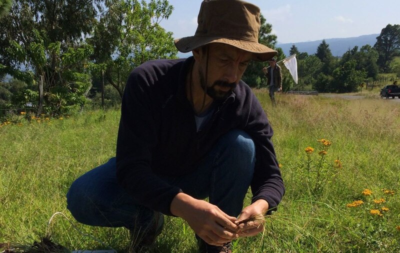 Científico recolectando muestras de plantas en un campo