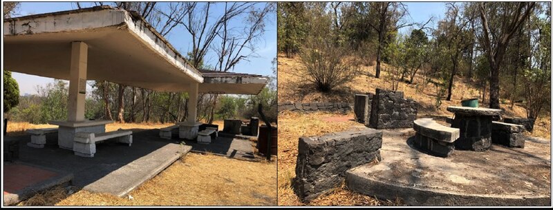 Dos imágenes de un parque con mesas de picnic.