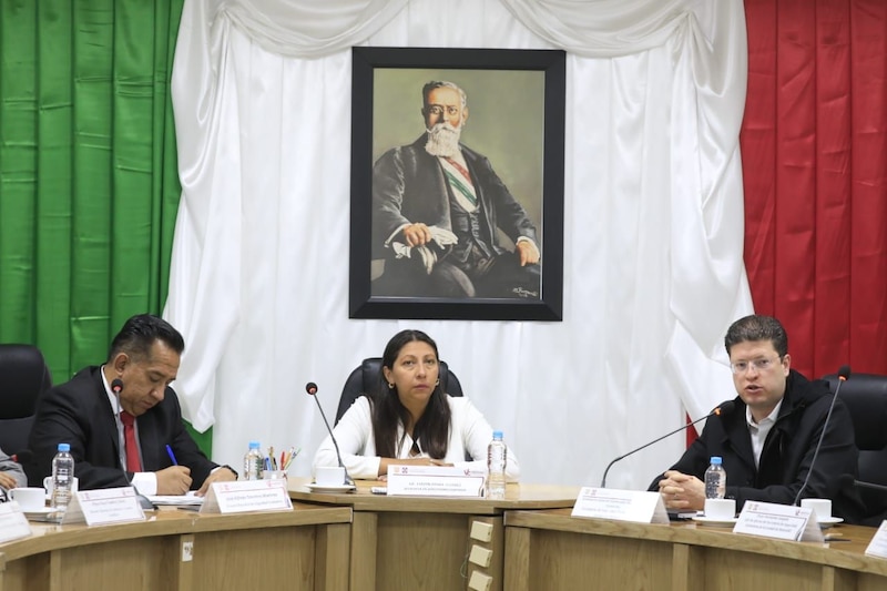 Reunión de trabajo de la Comisión de Educación