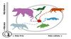 Clima, evolución y futuro de los carnívoros mexicanos