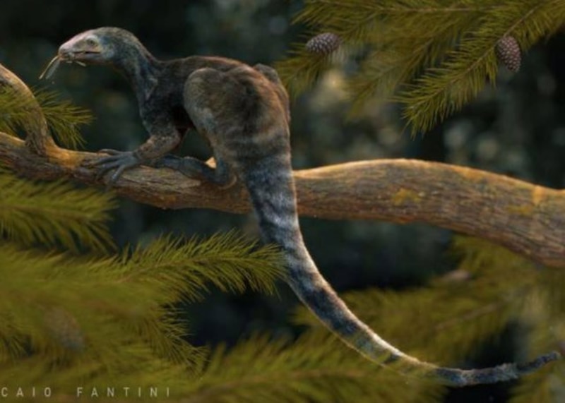 Un reptil prehistórico se arrastra por una rama