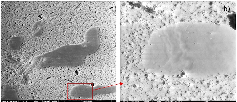 Imagen de microscopía electrónica de barrido de una muestra de hormigón.