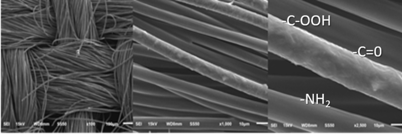 Imagen de microscopía electrónica de barrido de fibras de celulosa