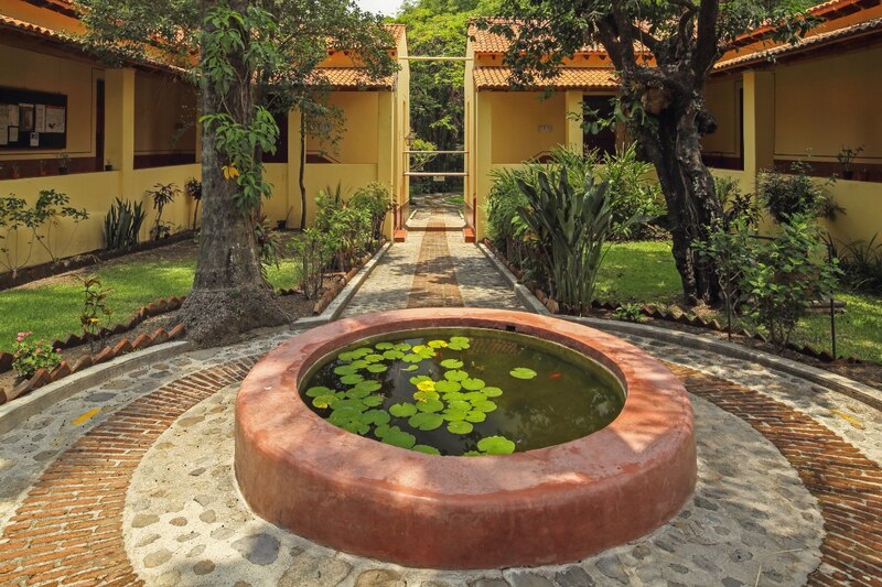 Hermoso jardín con estanque y plantas tropicales