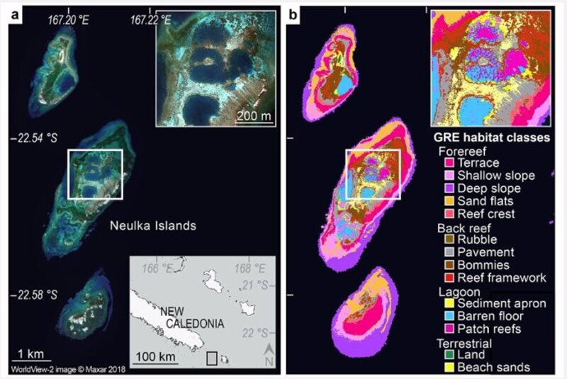 Hábitats bentónicos marinos en las Islas Neulka, Nueva Caledonia