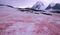 Estudio revela que la “nieve rosa” antártica es más extensa de lo previsto