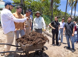 Sargazo obliga a Quintana Roo a cambiar estrategia para proteger turismo y playas