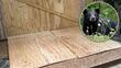 Denuncian ante Profepa uso de tablas con clavos para ahuyentar osos en Nuevo León