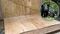 Denuncian ante Profepa uso de tablas con clavos para ahuyentar osos en Nuevo León