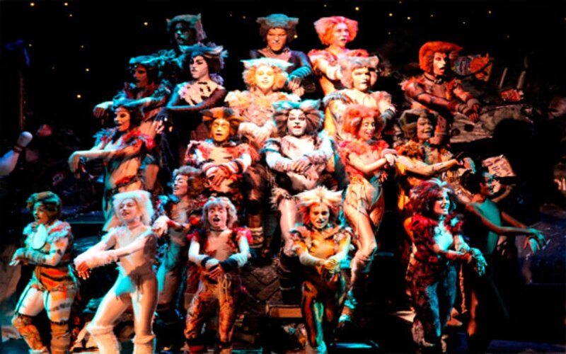 El elenco de Cats en una escena del musical.