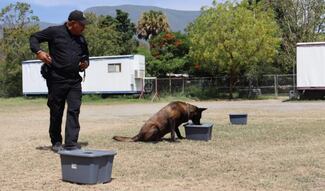 Binomios K-9 de la Guardia Estatal refuerzan seguridad y cercanía con la ciudadanía en Tamaulipas
