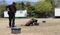 Binomios K-9 de la Guardia Estatal refuerzan seguridad y cercanía con la ciudadanía en Tamaulipas