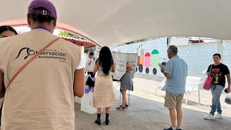 Elecciones, quejas y medidas cautelares