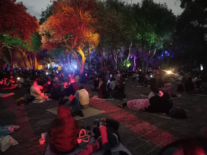 Noche de picnic en el parque