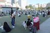 Terremoto de 7.1 en Japón de este 28 de julio deja personas atrapadas en un centro comercial