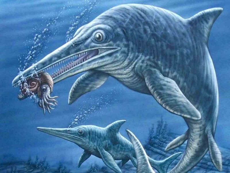 Plesiosaurio atacando a un calamar gigante