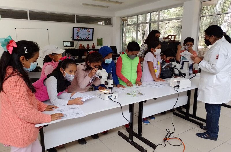 Niños aprendiendo sobre microscopía en una clase de ciencias