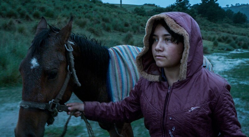 La niña y el caballo