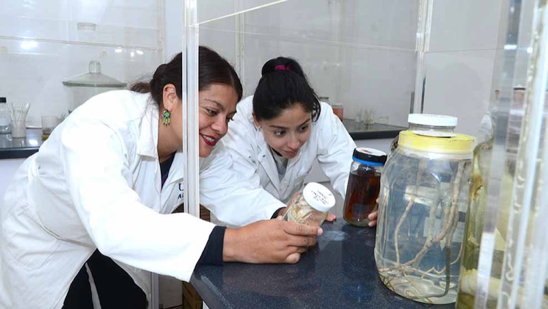 Científicas trabajando en un laboratorio