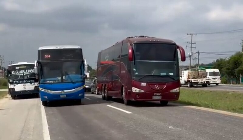 Autobuses en la carretera