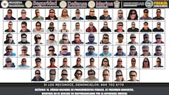 Operación Senda: detienen a 68 integrantes de bandas criminales en Edomex