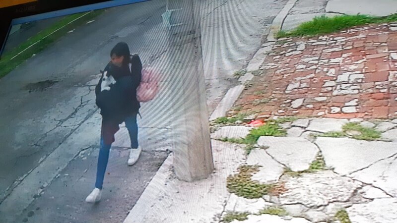 Mujer rescata a un perro de la calle