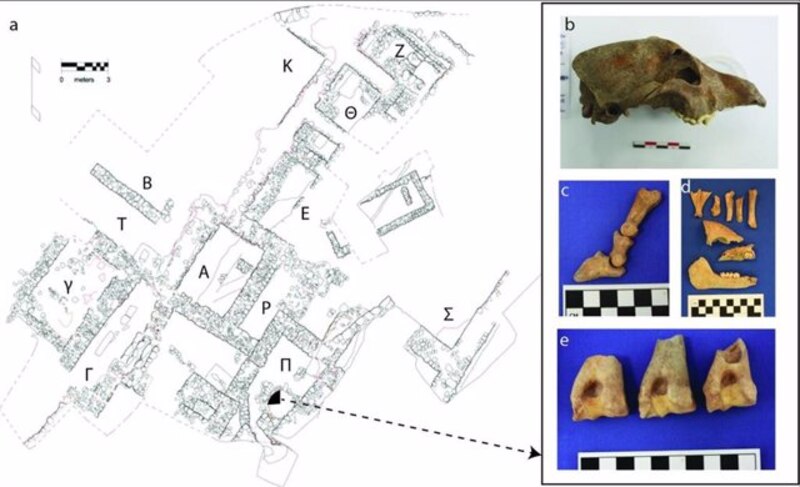 Restos arqueológicos encontrados en la ciudad de Pompeya