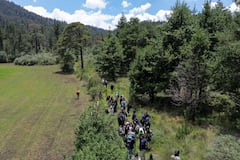 Colectivos de búsqueda localizan restos en una barranca del Ajusco; evidencia la crisis de desapariciones en CDMX