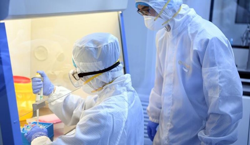 Científicos trabajando en una cura para el COVID-19