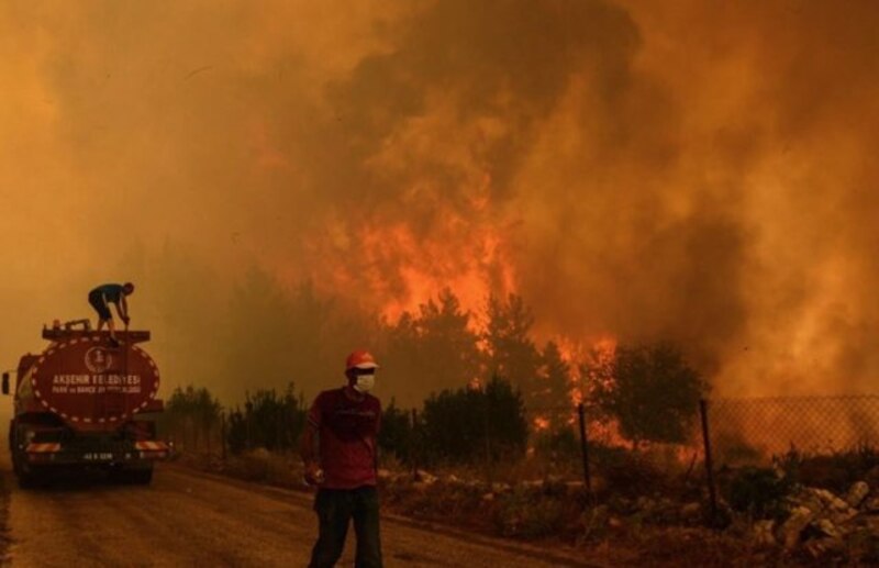 Bombero solitario observa un incendio forestal