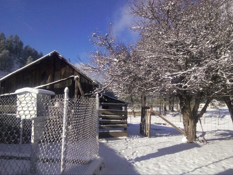 Una cabaña en el bosque nevado