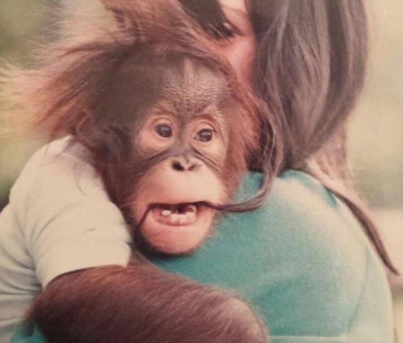 Jambi y Marielena