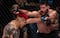 Nace Mexico Fight League: El corazón latinoamericano del MMA comienza a latir