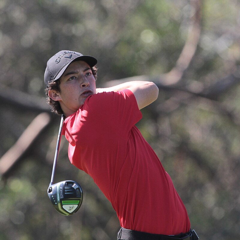 Golfista masculino joven