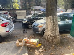 La batalla por la vía pública llega a los tribunales: “viene-viene” resisten en la Ciudad de Justicia