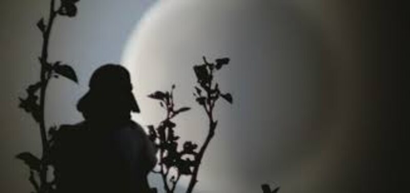 Darth Vader mirando la luna