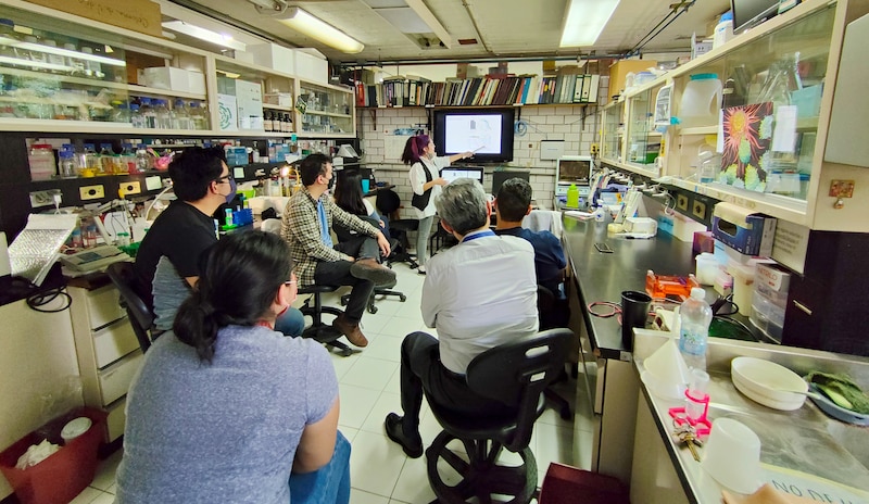 Investigadores en un laboratorio