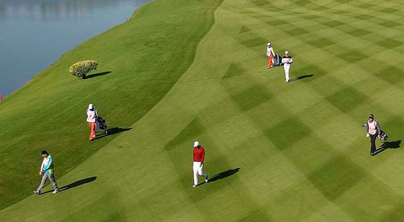 Golfistas caminando por el campo