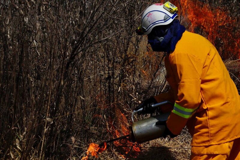 Bombero apaga un incendio forestal