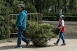 6 Tips para reciclar tu árbol de Navidad y ayudar al medio ambiente