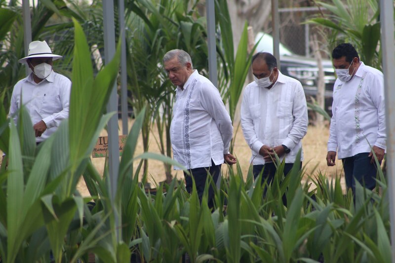 El presidente López Obrador visita un vivero en Chiapas