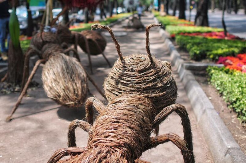 Hormigas hechas de alambre en el parque