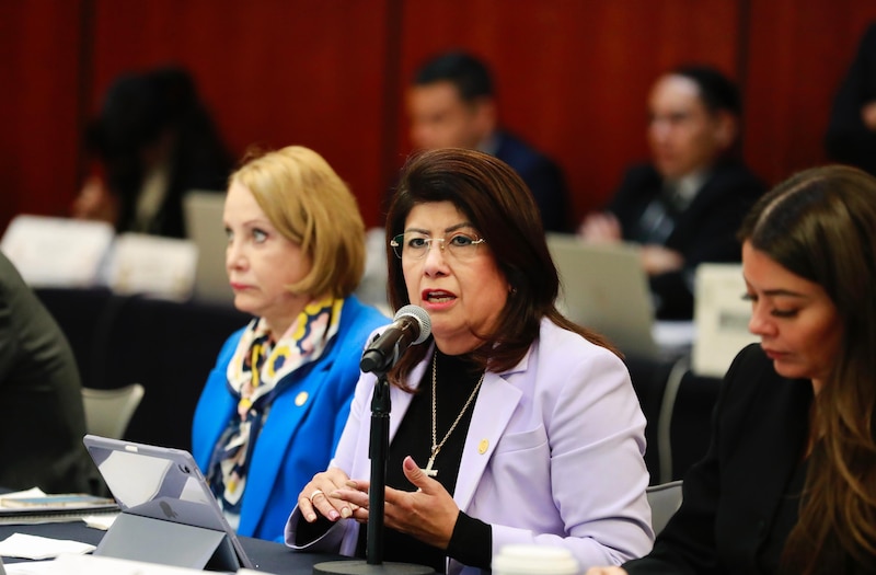 Mariela Gutiérrez Escalante en el Senado