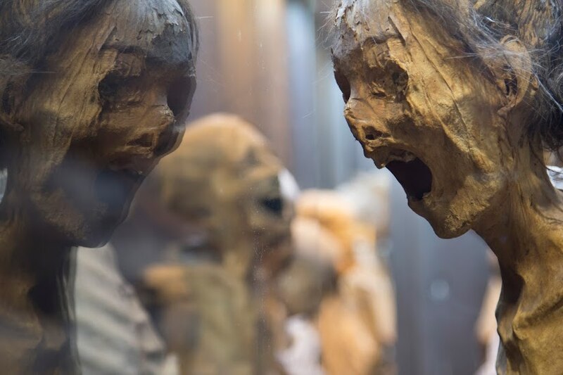 Momias guanches