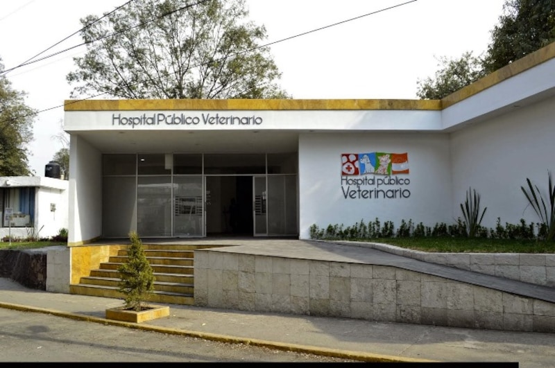 Hospital público veterinario