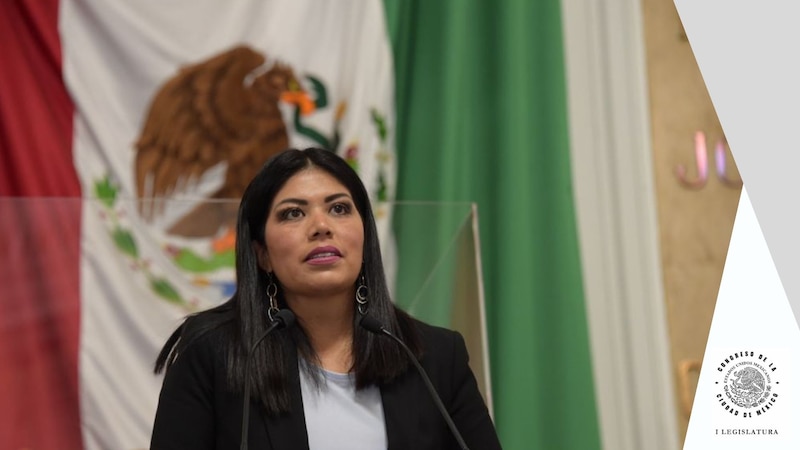 La diputada federal por Morena, Aleida Alavez Ruiz, durante su participación en la tribuna de la Cámara de Diputados.