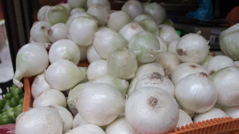 Cebolla blanca