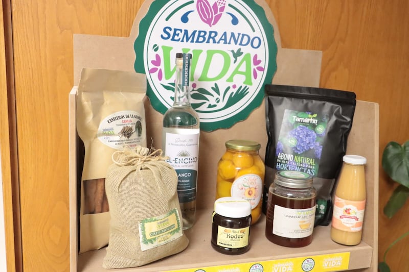 La Subsecretaria de Inclusión Productiva y Desarrollo Rural, de la Secretaría de Bienestar, Columba López enfatizó que en la segunda etapa del programa Sembrando Vida, se continúa trabajando para avanzar en la producción de cada región e impulsar la comercialización de los pequeños productores