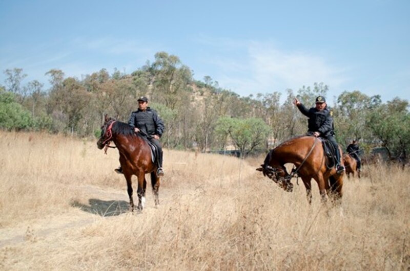 Jinetes de la Policía Montada